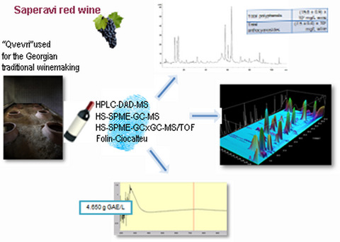 Analysis of aroma and polyphenolic compounds in Saperavi red wine vinified in Qvevri