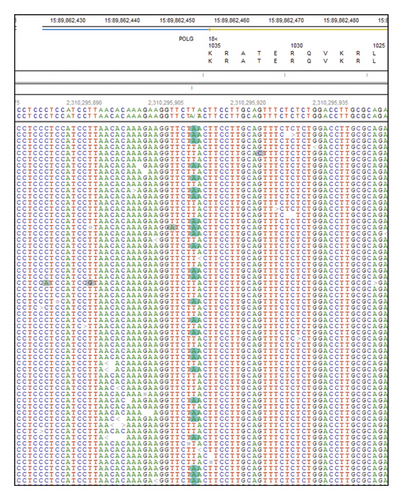 Details are in the caption following the image Details are in the caption following the image