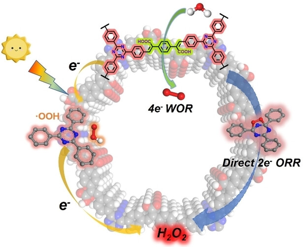 Integrating Multipolar Structures and Carboxyl Groups in sp2-Carbon Conjugated Covalent Organic Frameworks for Overall Photocatalytic Hydrogen Peroxide Production
