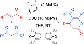 NHC-katalysierte Michael-Additionen an α,β-ungesättigte Aldehyde unter Redoxaktivierung
