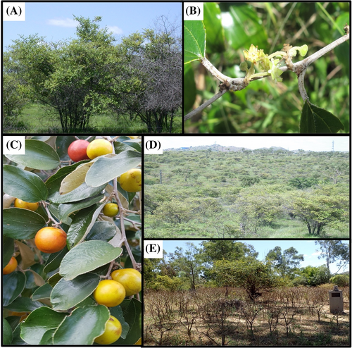 Details are in the caption following the image Details are in the caption following the image