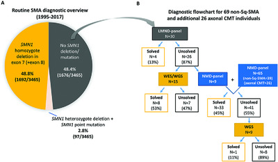 Targeted sequencing with expanded gene profile enables high diagnostic yield in non-5q-spinal muscular atrophies