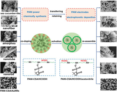 Transferring and Retaining of Different Polyaniline Nanofeatures via Electrophoretic Deposition for Enhanced Sensing Performance