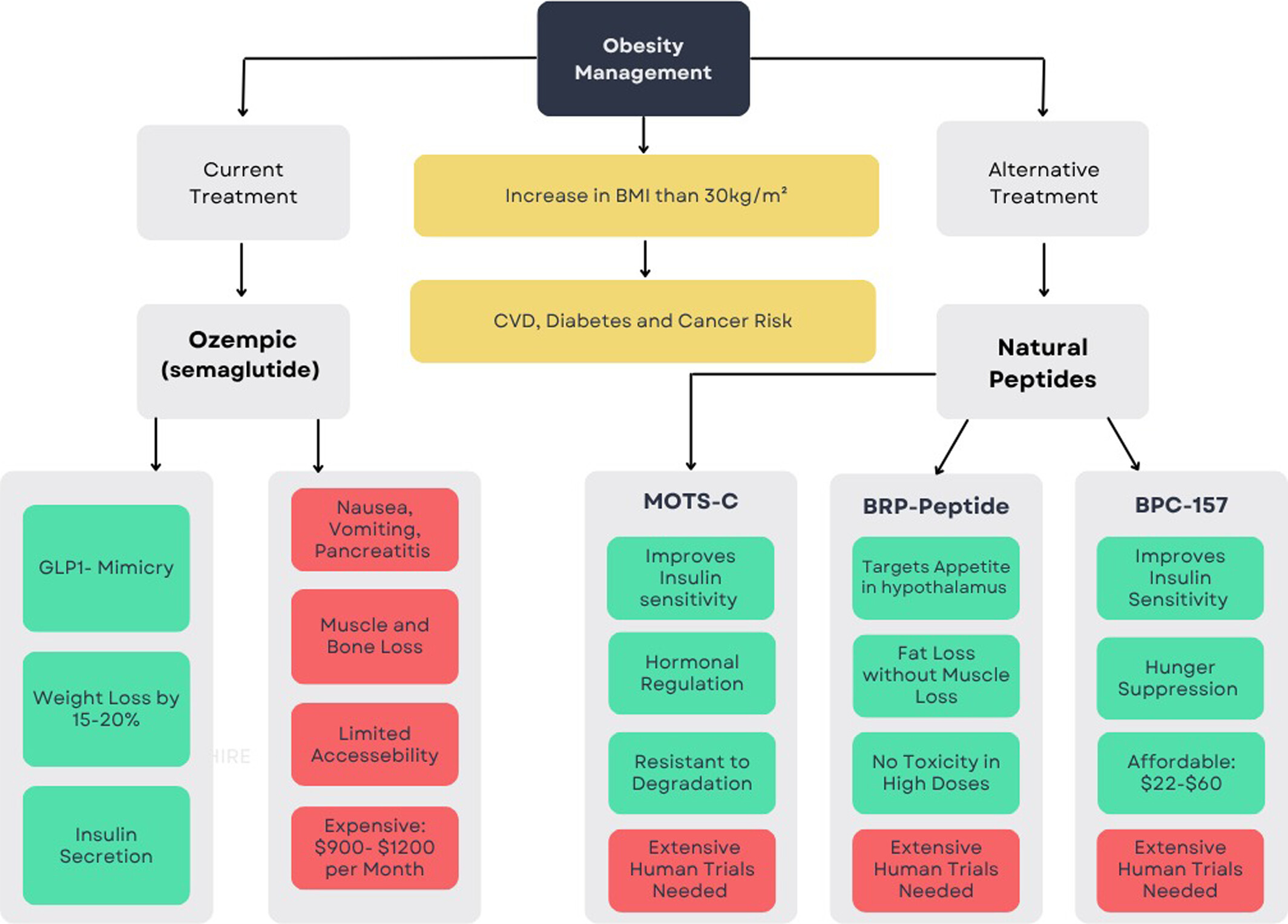 Natural Peptides Versus Semaglutide: A Safer Approach to Obesity Management Issue ,