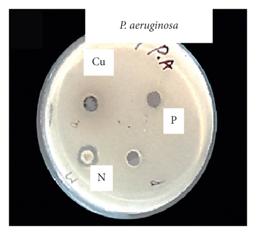 Details are in the caption following the image