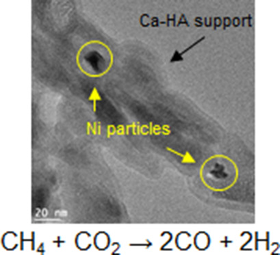A Comparative Study of Hydroxyapatite- and Alumina-Based Catalysts in Dry Reforming of Methane