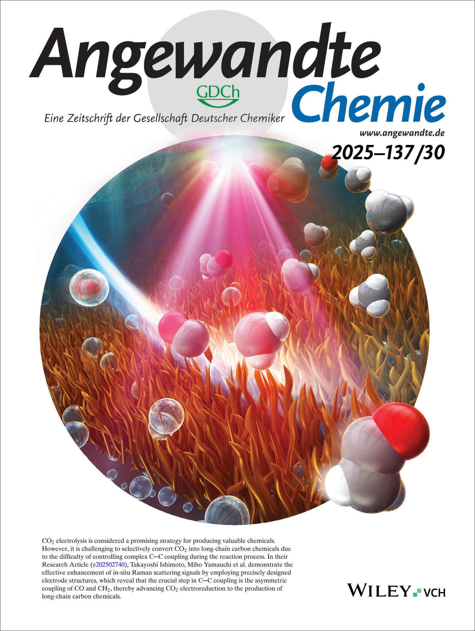 Inside Front Cover: In-Situ Observation of Post-CO Intermediates to Decode C─C Coupling Pathways in CO2 Electroreduction (Angew. Chem. 30/2025) Volume 137 Issue 30, 2025