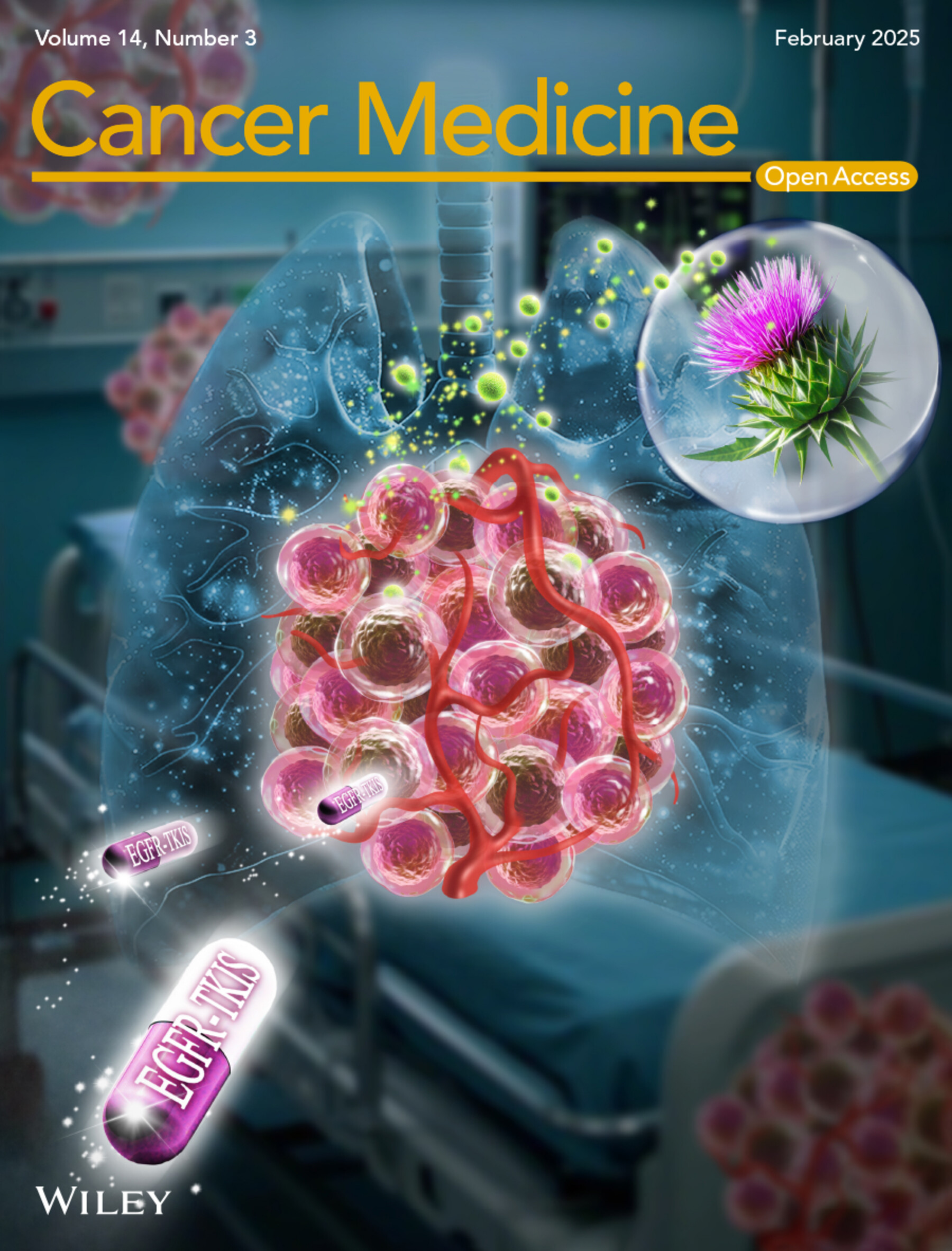 Cover Image Volume 14 Issue 3, 2025