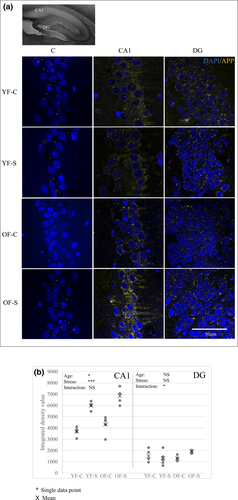 Details are in the caption following the image Details are in the caption following the image