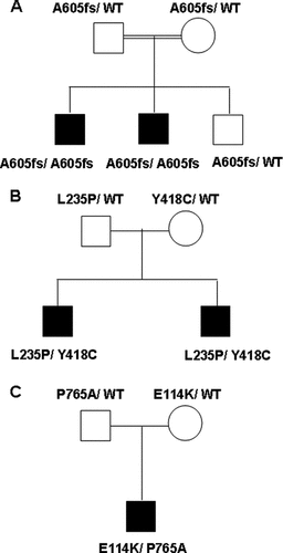 Details are in the caption following the image Details are in the caption following the image