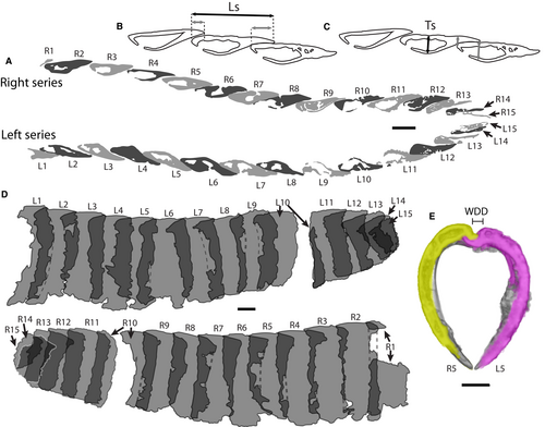 Details are in the caption following the image