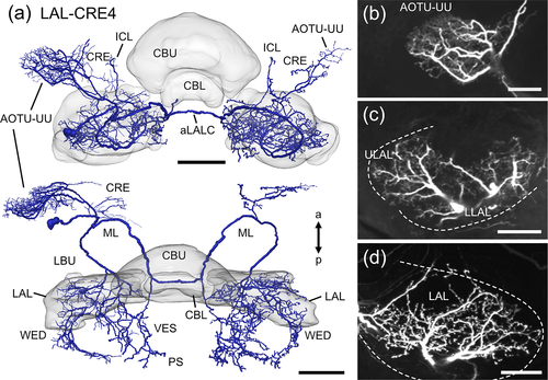 Details are in the caption following the image Details are in the caption following the image