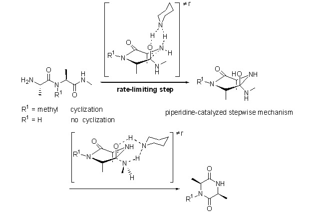 Theoretical Study on the Cyclization Mechanism of Dipeptides