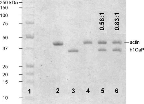 Details are in the caption following the image