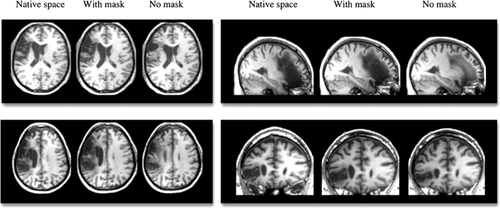 Details are in the caption following the image Details are in the caption following the image