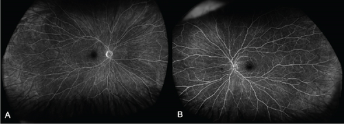 Details are in the caption following the image