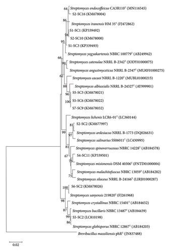 Details are in the caption following the image Details are in the caption following the image