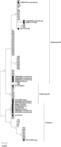 Details are in the caption following the image