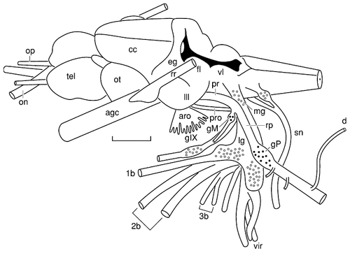Details are in the caption following the image