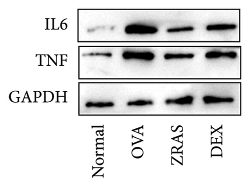 Details are in the caption following the image