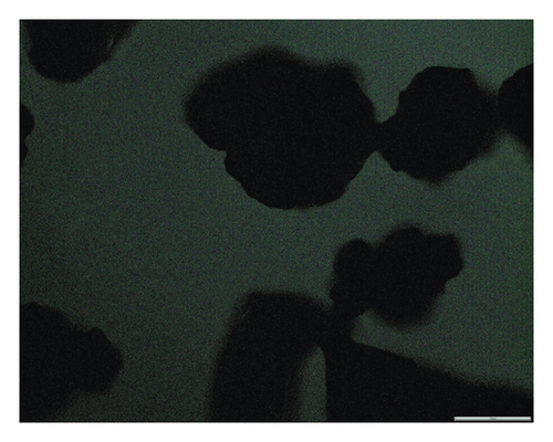 Details are in the caption following the image