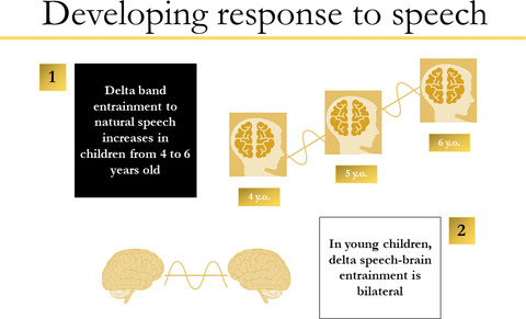 Development of neural oscillatory activity in response to speech in children from 4 to 6 years old