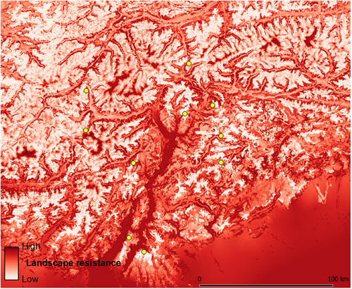 Details are in the caption following the image Details are in the caption following the image