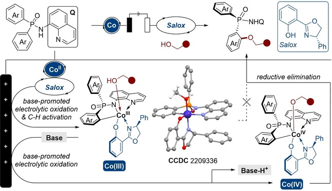 Base-Promoted Electrochemical CoII-catalyzed Enantioselective C−H Oxygenation