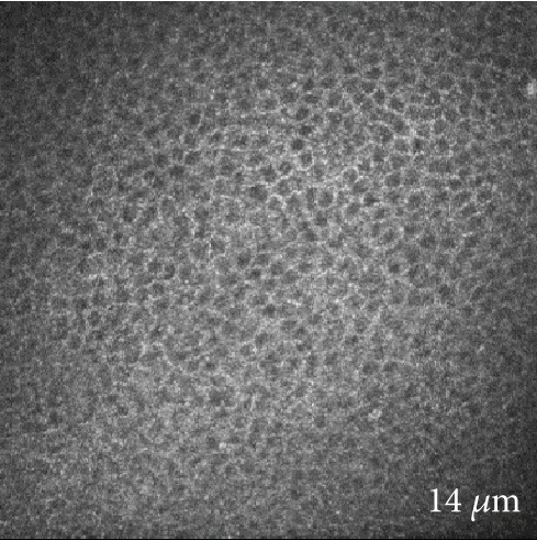 Details are in the caption following the image