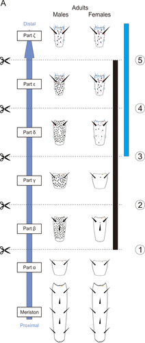 Details are in the caption following the image Details are in the caption following the image