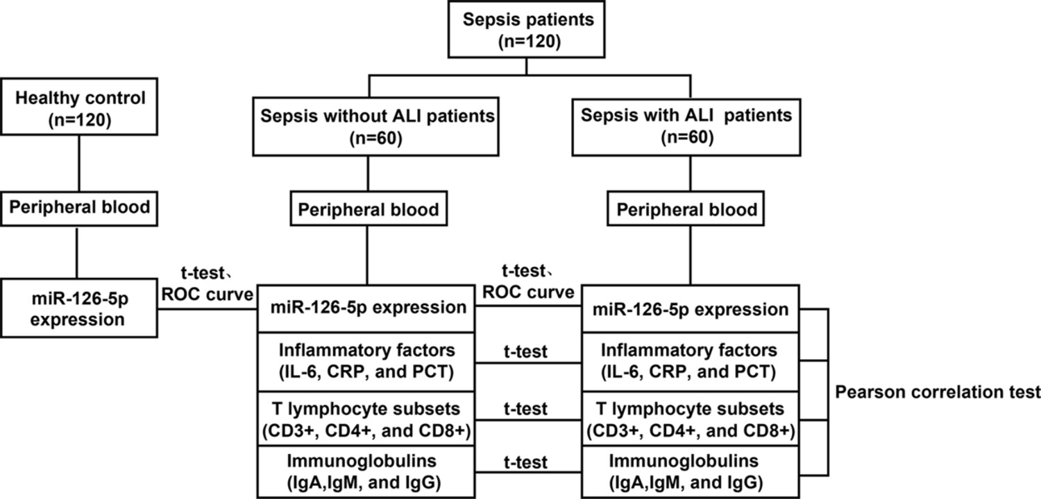 miR-126-5p expression in the plasma of patients with sepsis-induced acute lung injury and its correlation with inflammation and immune function
