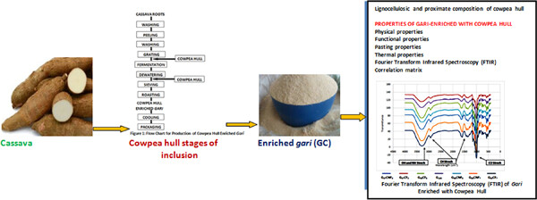 Physicochemical, thermal, and functional properties of gari (fermented-cassava product) enriched with cowpea hull at different stages of production