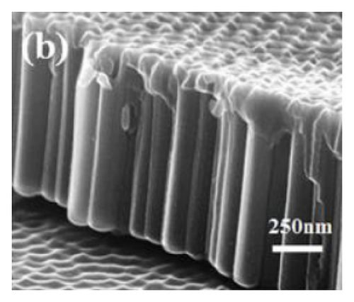 Details are in the caption following the image Details are in the caption following the image
