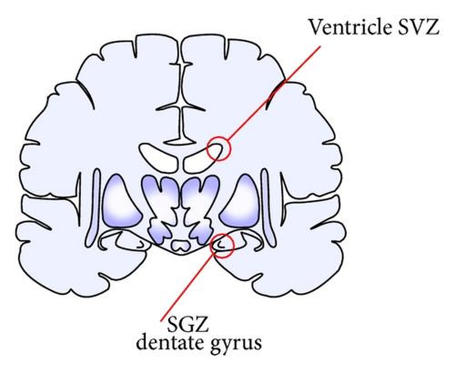 Details are in the caption following the image