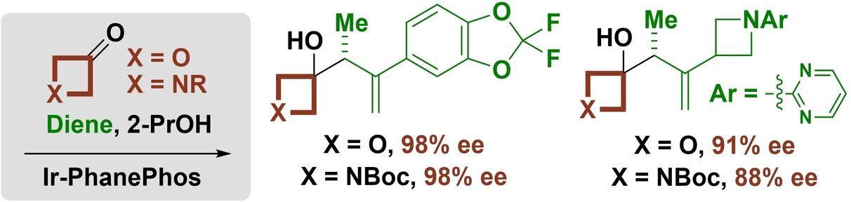 Enantioselective Iridium-Catalyzed Reductive Coupling of Dienes with Oxetanones and N-Acyl-Azetidinones Mediated by 2-Propanol