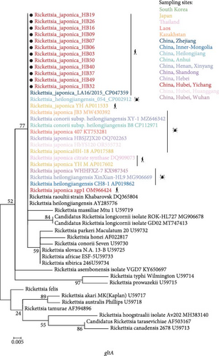 Details are in the caption following the image