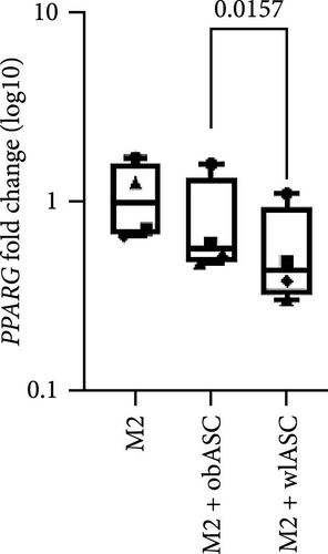 Details are in the caption following the image