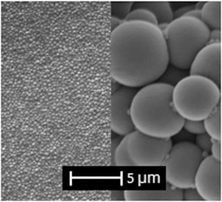 Improved Particle Size Control for the Dispersion Polymerization of Methyl methacrylate in Supercritical Carbon Dioxide