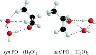 Hydration of a Chiral Molecule: The Propylene Oxide⋅⋅⋅(Water)2 Cluster in the Gas Phase