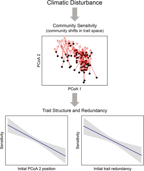 Trait structure and redundancy determine sensitivity to disturbance in marine fish communities