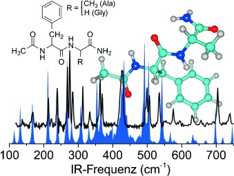 Gas-Phase Peptide Structures Unraveled by Far-IR Spectroscopy: Combining IR-UV Ion-Dip Experiments with Born–Oppenheimer Molecular Dynamics Simulations