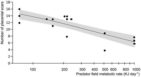 Influence of multiple predators decreases body condition and fecundity of European hares