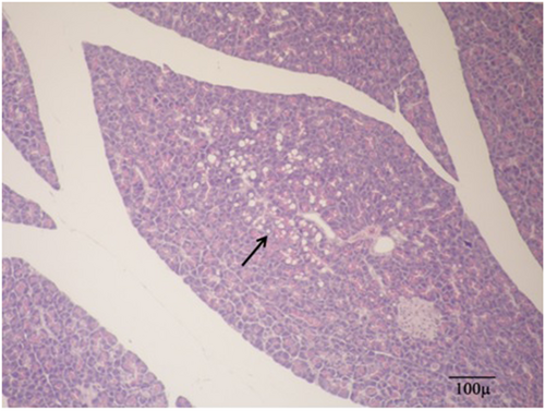 Details are in the caption following the image