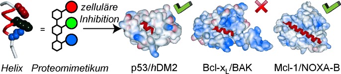 Selective and Potent Proteomimetic Inhibitors of Intracellular Protein–Protein Interactions