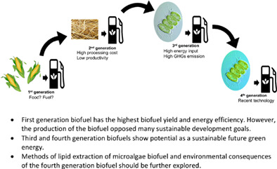 Sustainability of the four generations of biofuels – A review Issue 12, 2020