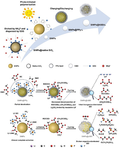 Enhancement Mechanism of Photo-Induced Artificial Boundary on Ultrastable Hybrid Solid-electrolyte Interphase of Si Anodes