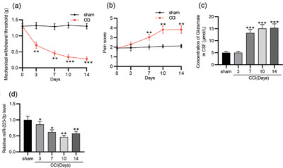 MiR-223-3p alleviates trigeminal neuropathic pain in the male mouse by targeting MKNK2 and MAPK/ERK signaling