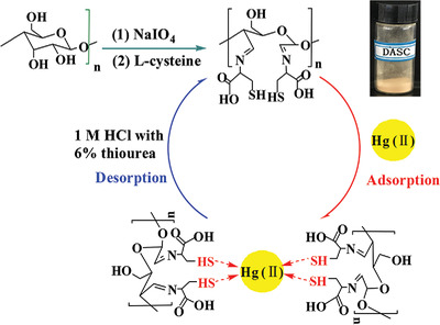 Preparation and Characterization of a Starch-Based Adsorbent for the Effective Removal of Environmental Pollutants Hg (II)