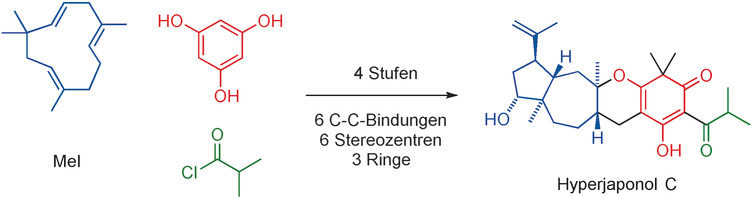 Biomimetic Total Synthesis of Hyperjapones A–E and Hyperjaponols A and C