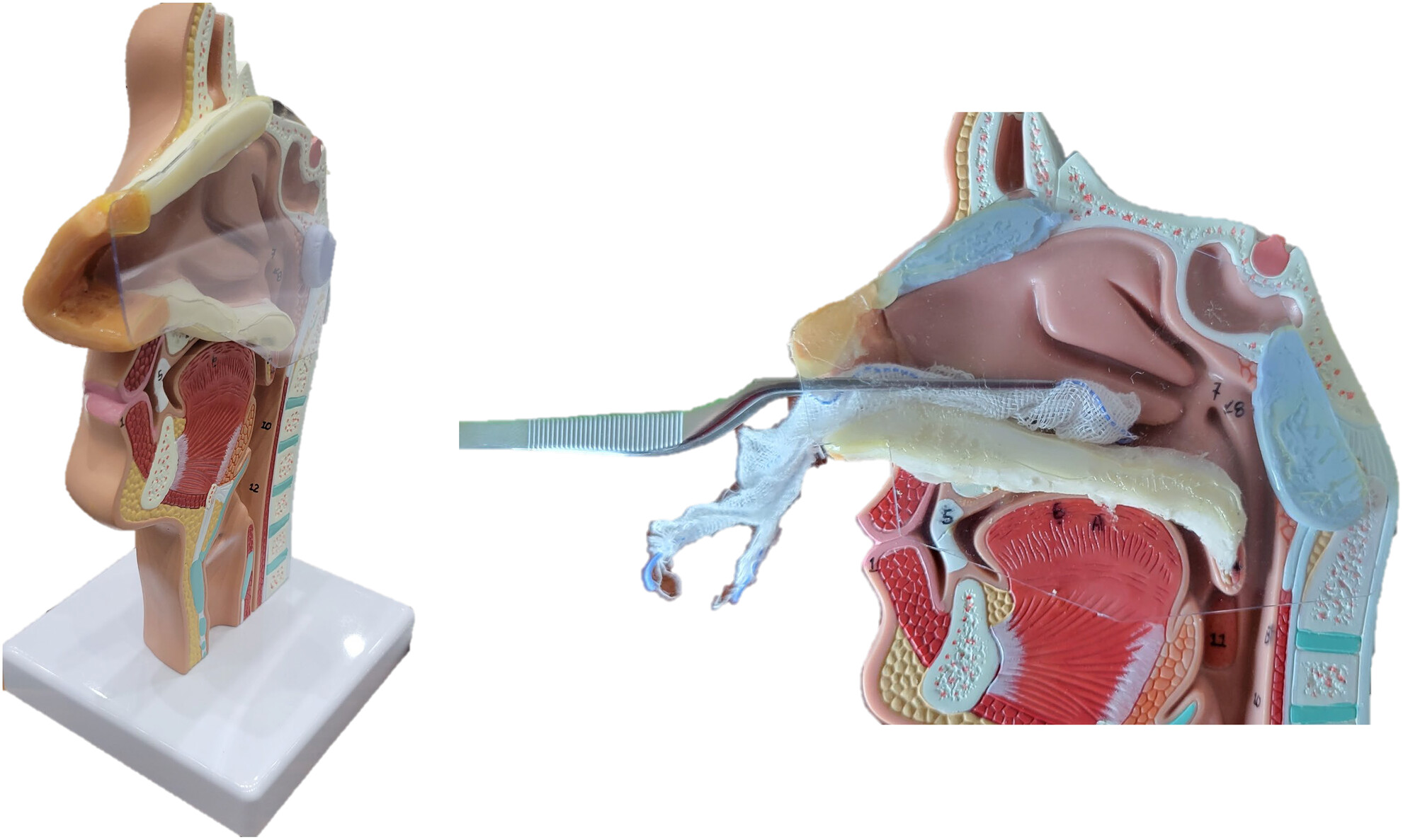 Onlinization of a simulation course that includes minor emergency procedures